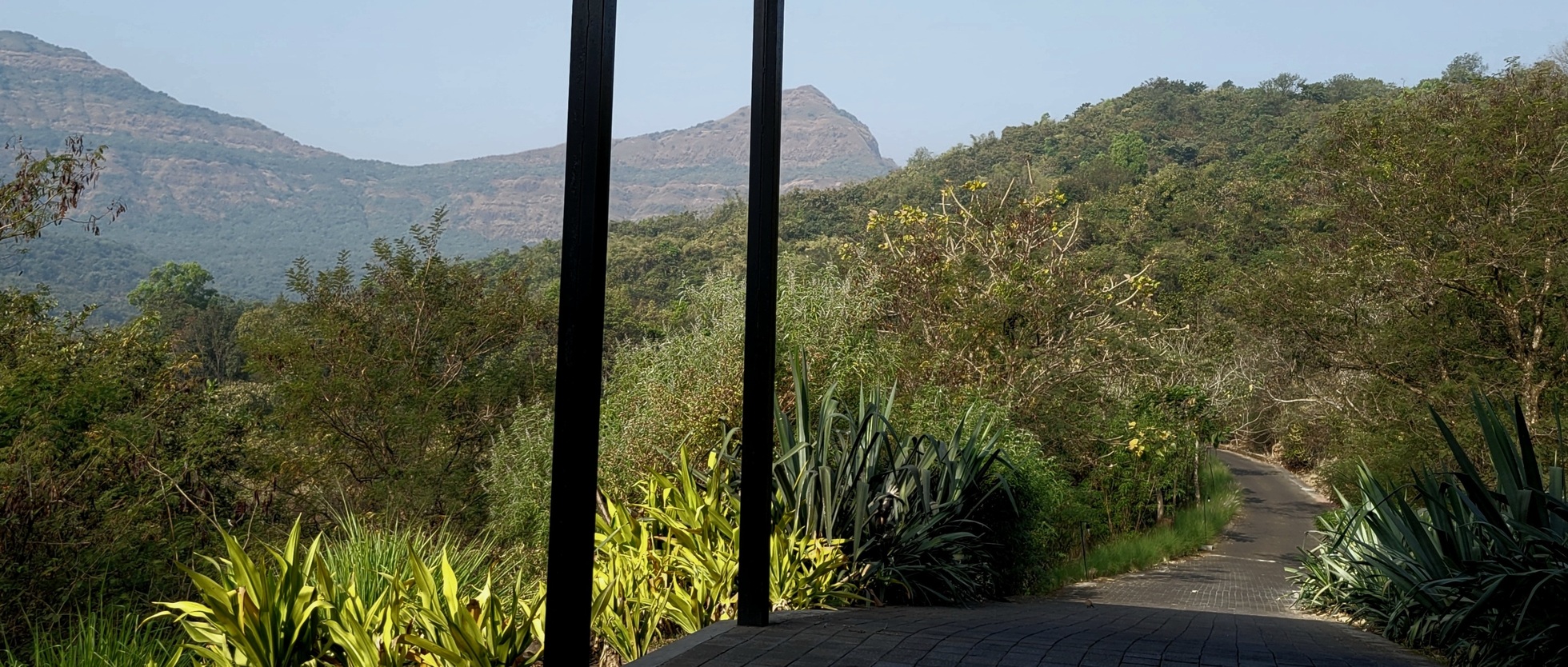 LH Talk: Wild Landscapes, Margie Ruddick's Design with Nature